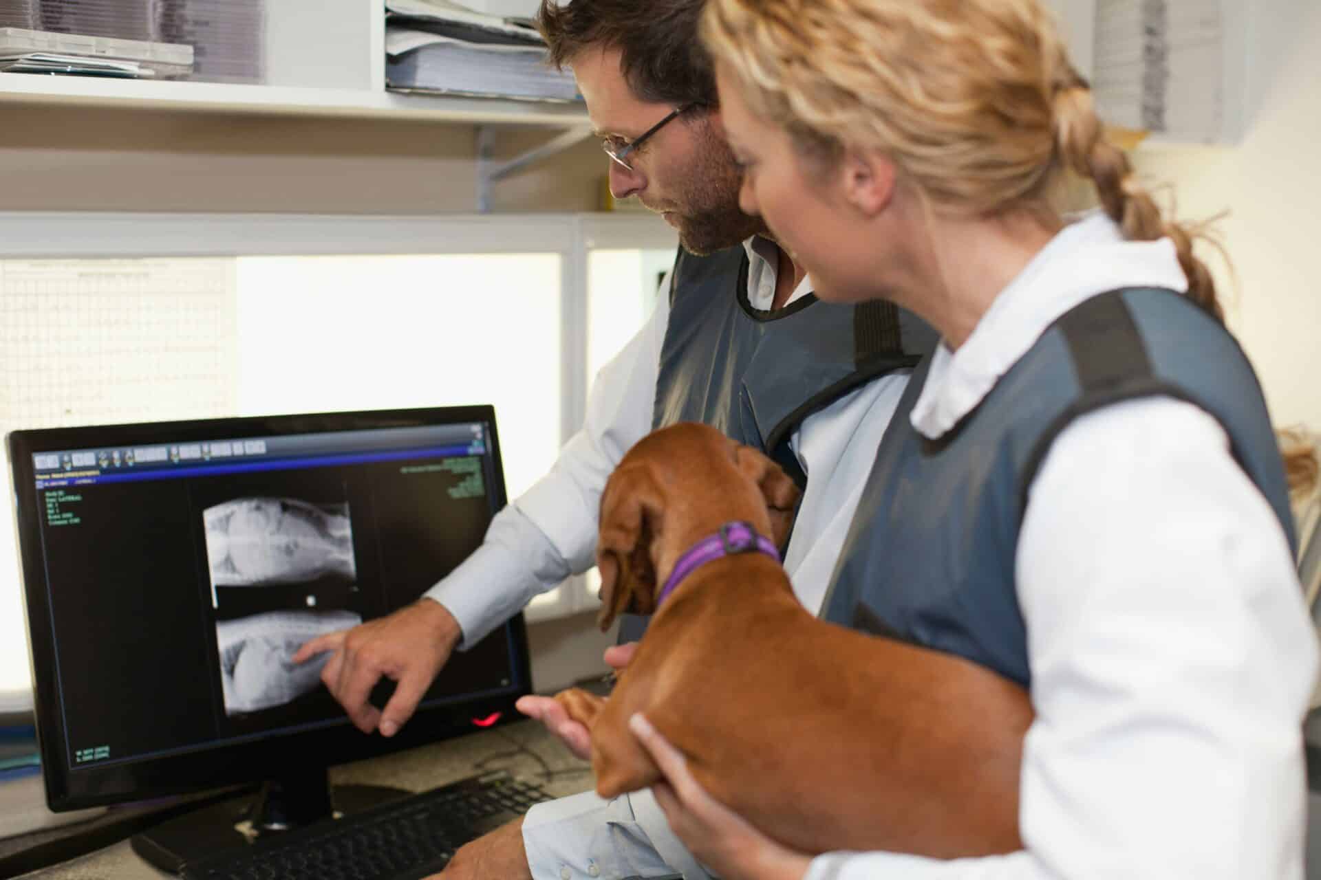 Diagnostics & Imaging