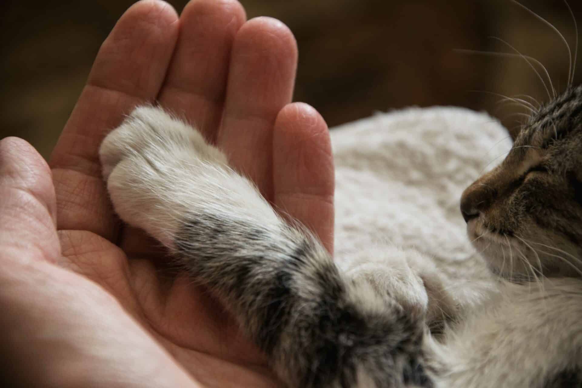 End-of-Life Care