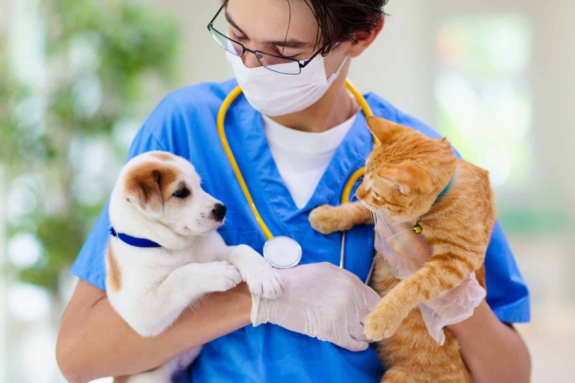 What to Expect at Your New Pet’s First Visit